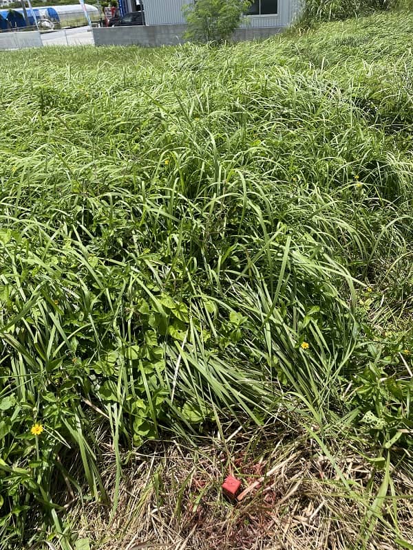 AHC株式会社のブログ記事のトップ画像